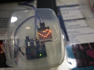 Két év után újra "Szakmák Napja" a Rudasban  - fotó: 