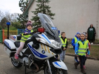 Ovizsaru és más csodák a tavaszköszöntő szakmai programban - fotó: 