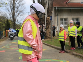 Ovizsaru és más csodák a tavaszköszöntő szakmai programban - fotó: 