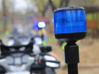 Ovizsaru és más csodák a tavaszköszöntő szakmai programban - fotó: 