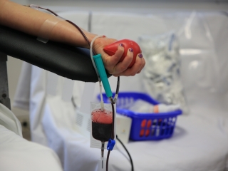 ÖKO Nap és lomtalanítás Újtelepen - fotó: 