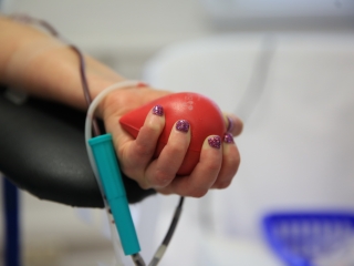 ÖKO Nap és lomtalanítás Újtelepen - fotó: 