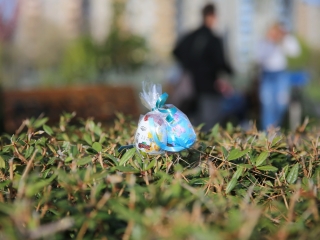 Húsvéti tojáskeresés a DO-val és a DSTV-vel - fotó: 