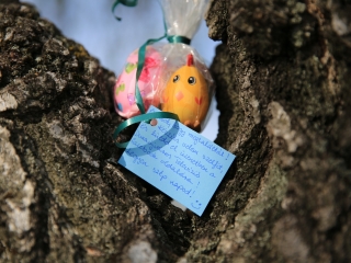 Húsvéti tojáskeresés a DO-val és a DSTV-vel - fotó: 