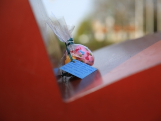 Húsvéti tojáskeresés a DO-val és a DSTV-vel - fotó: 