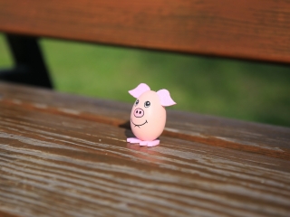 Húsvéti tojáskeresés a DO-val és a DSTV-vel - fotó: 