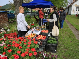 DunaKosár bemutatkozó nap Újtelepen - fotó: 