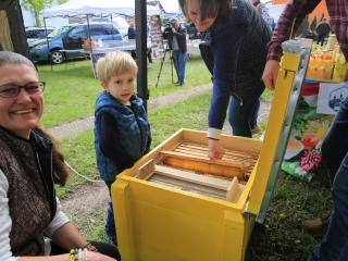 DunaKosár bemutatkozó nap Újtelepen - fotó: 
