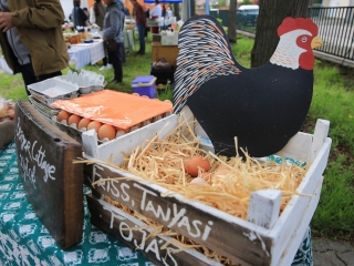 DunaKosár bemutatkozó nap Újtelepen - fotó: 