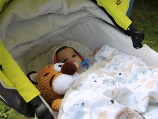 DunaKosár bemutatkozó nap Újtelepen - fotó: 