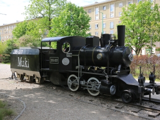 Városfelfedezés – Muki nyomában - fotó: 