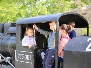 Városfelfedezés – Muki nyomában - fotó: 