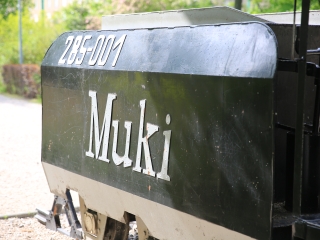 Városfelfedezés – Muki nyomában - fotó: 