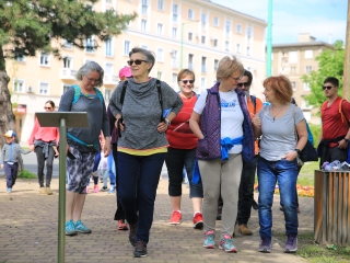 Városfelfedezés – Muki nyomában - fotó: 