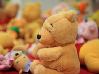 Minden, ami Maci a Civilházban - fotó: 