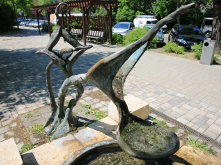 Szökőkútkörkép Dunaújvárosban - fotó: 