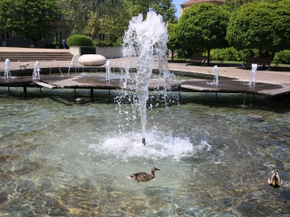 Szökőkútkörkép Dunaújvárosban - fotó: 