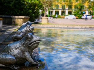 Szökőkútkörkép Dunaújvárosban - fotó: 