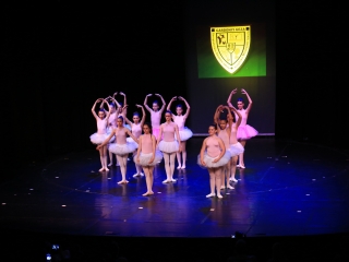 Táncra tánc – Gárdonyi-gála a Bartókban - fotó: 