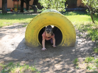 Ünnepi kavalkád és kürtőskalács  az Aprók Házában - fotó: 