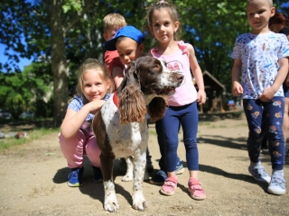 Ünnepi kavalkád és kürtőskalács  az Aprók Házában - fotó: 