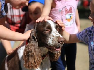 Ünnepi kavalkád és kürtőskalács  az Aprók Házában - fotó: 