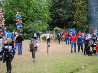 Gyermeknap 2022 – az MMK-ban és a volt Vidámparkban - fotó: 