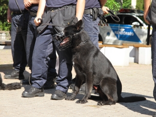 Rendvédelmi nap 2022 – színes programokkal - fotó: 