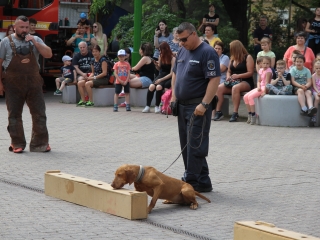 Rendvédelmi nap 2022 – színes programokkal - fotó: 