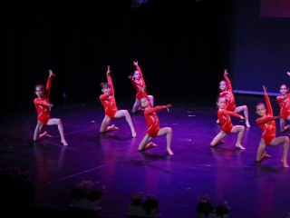 Vasvári: jubileumi gála a Bartókban - fotó: 