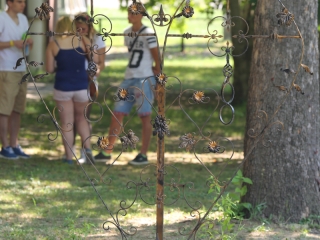 Sziget a szerelmeseknek - fotó: Ónodi Zoltán