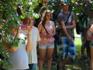 Sziget a szerelmeseknek - fotó: Ónodi Zoltán