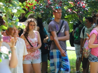 Sziget a szerelmeseknek - fotó: Ónodi Zoltán