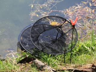 Gyerekek horgászversenye a Szalki-szigeten  - fotó: 