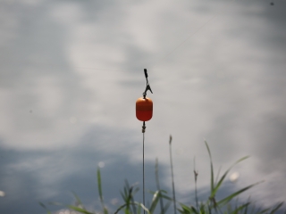 Gyerekek horgászversenye a Szalki-szigeten  - fotó: 