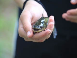 Gyerekek horgászversenye a Szalki-szigeten  - fotó: 