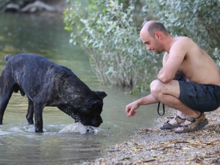 DUDIK- Őrző- védő szituációs bemutató - fotó: Ónodi Zoltán