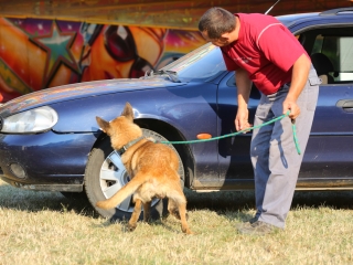 DUDIK- Őrző- védő szituációs bemutató - fotó: Ónodi Zoltán