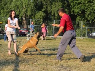 DUDIK- Őrző- védő szituációs bemutató - fotó: Ónodi Zoltán