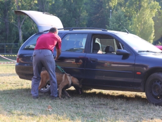 DUDIK- Őrző- védő szituációs bemutató - fotó: Ónodi Zoltán