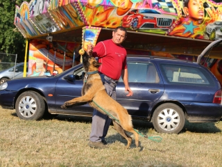 DUDIK- Őrző- védő szituációs bemutató - fotó: Ónodi Zoltán