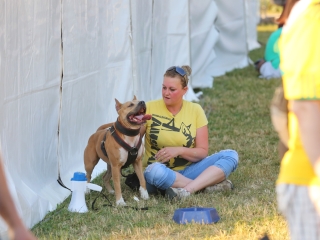 DUDIK- Őrző- védő szituációs bemutató - fotó: Ónodi Zoltán
