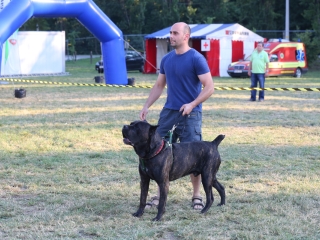 DUDIK- Őrző- védő szituációs bemutató - fotó: Ónodi Zoltán