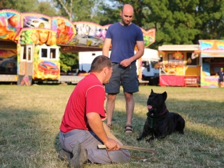 DUDIK- Őrző- védő szituációs bemutató - fotó: Ónodi Zoltán