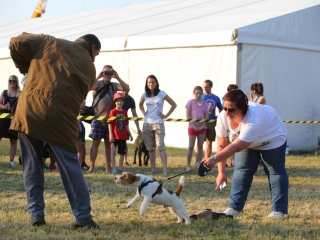 DUDIK- Őrző- védő szituációs bemutató - fotó: Ónodi Zoltán