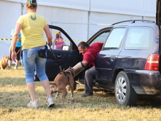 DUDIK- Őrző- védő szituációs bemutató - fotó: Ónodi Zoltán