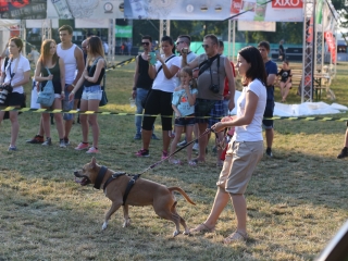DUDIK- Őrző- védő szituációs bemutató - fotó: Ónodi Zoltán