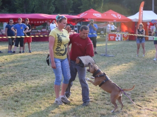 DUDIK- Őrző- védő szituációs bemutató - fotó: Ónodi Zoltán