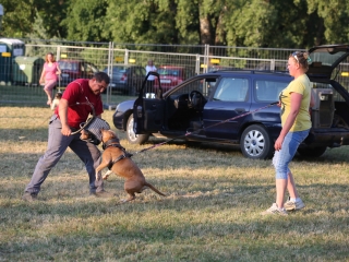 DUDIK- Őrző- védő szituációs bemutató - fotó: Ónodi Zoltán