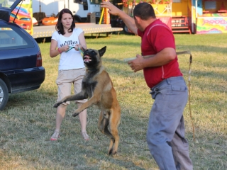 DUDIK- Őrző- védő szituációs bemutató - fotó: Ónodi Zoltán